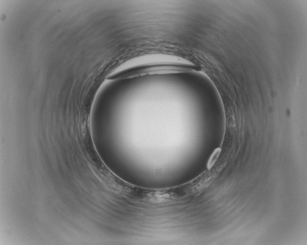 X0000070880607200607071949