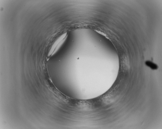 X0000070880608200607071949