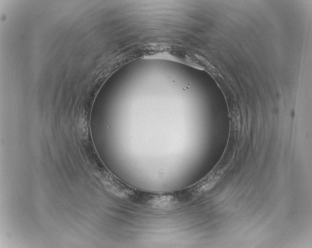 X0000070880609200607071949