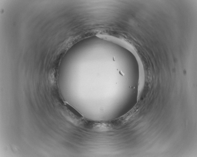 X0000070880611200607071949