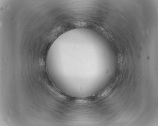 X0000070880614200607071949