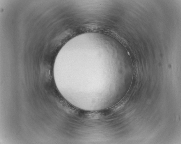 X0000070880615200607071949