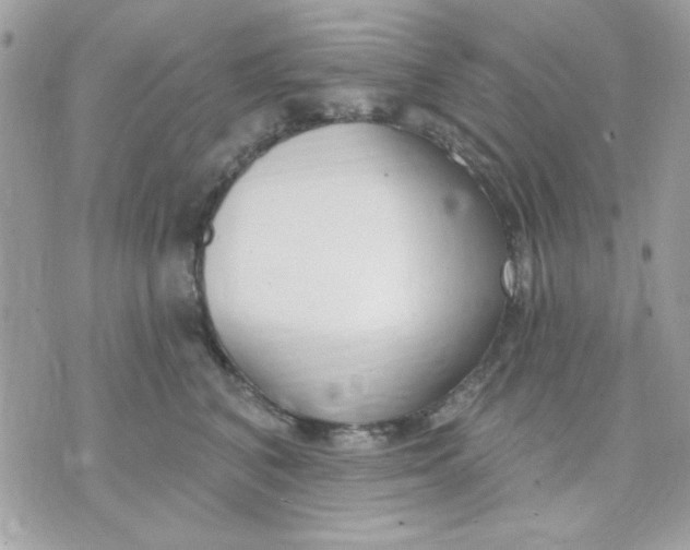 X0000070880616200607071949