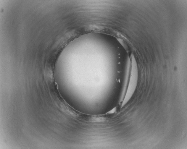 X0000070880617200607071949