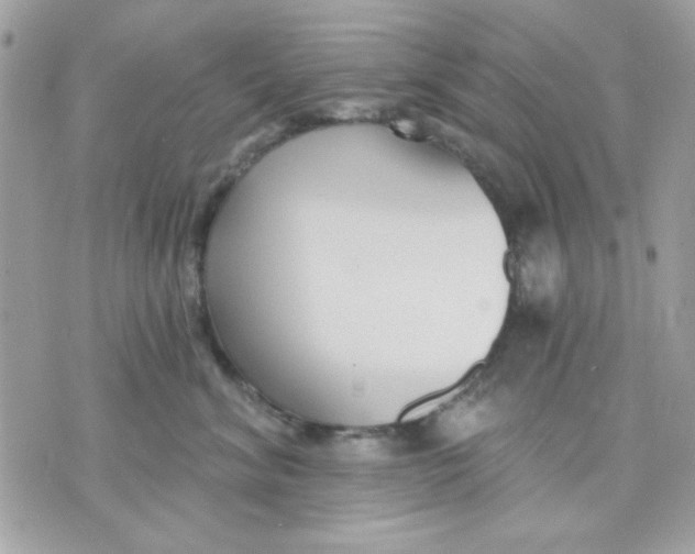 X0000070880620200607071949