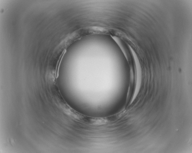 X0000070880621200607071949