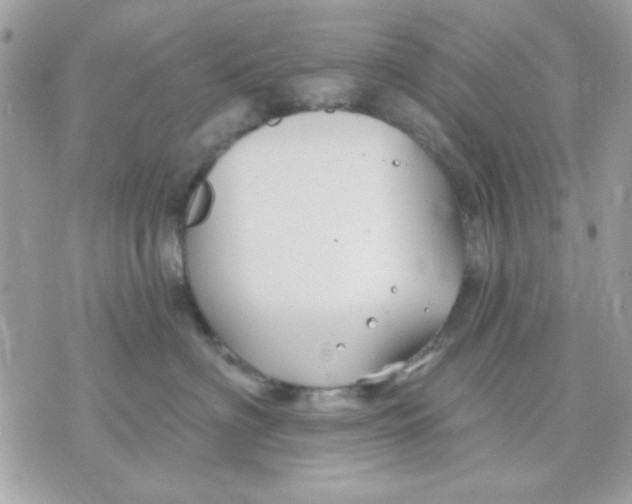 X0000070880622200607071949