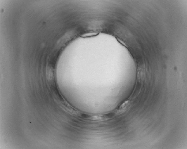 X0000070880623200607071949