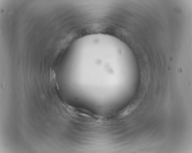 X0000070880624200607071949