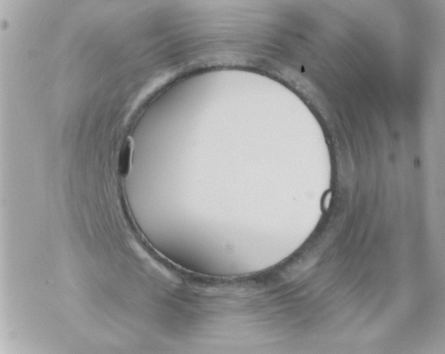 X0000070880625200607071948