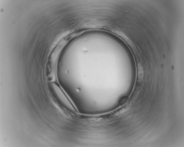 X0000070880626200607071948