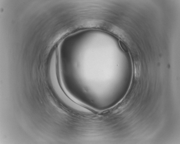 X0000070880627200607071948