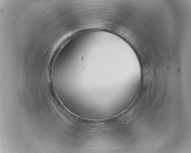 X0000070880628200607071948