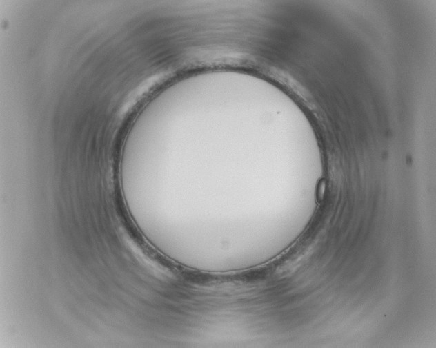 X0000070880629200607071948