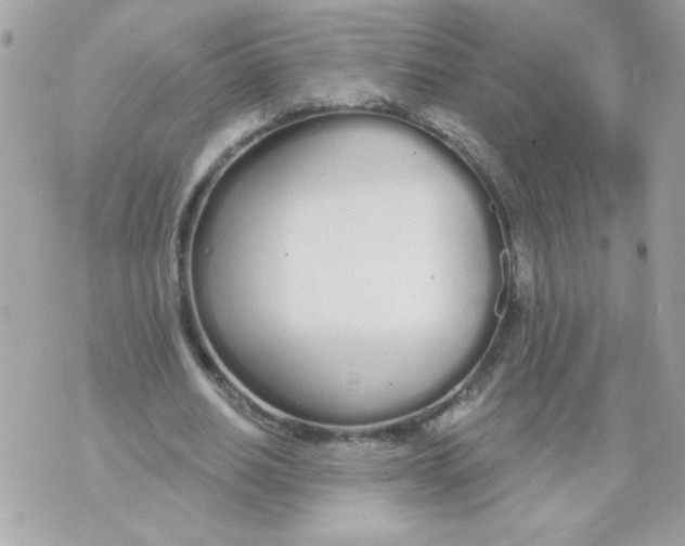 X0000070880630200607071948