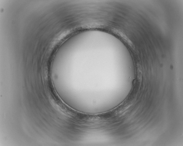 X0000070880631200607071948