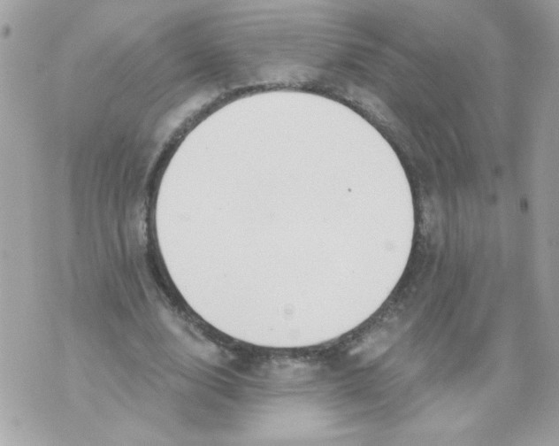 X0000070880632200607071948