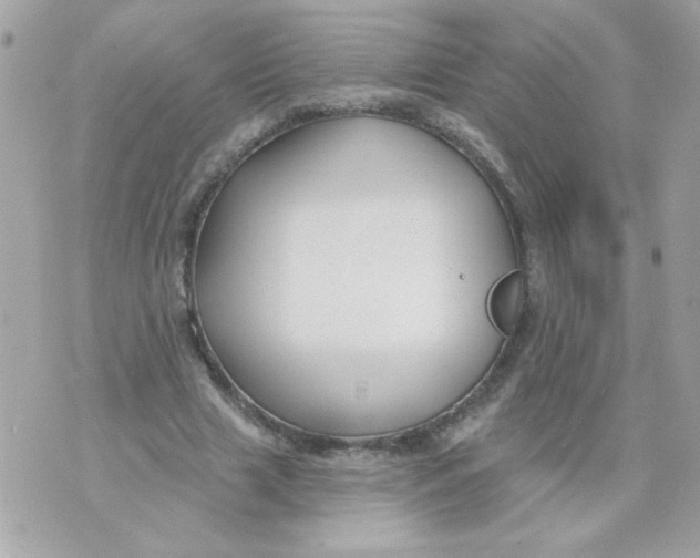 X0000070880633200607071948