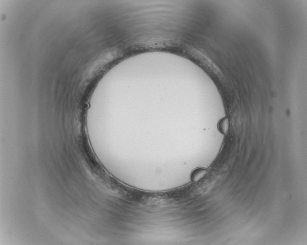 X0000070880635200607071948