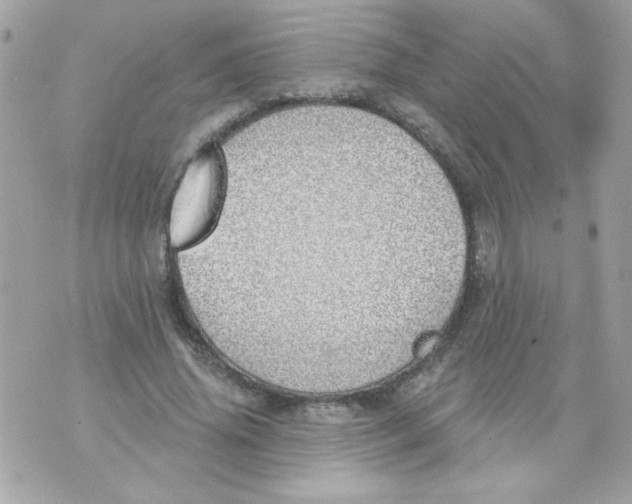 X0000070880636200607071949