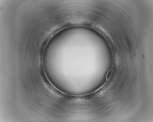 X0000070880637200607071949