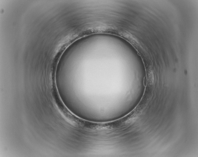 X0000070880638200607071949