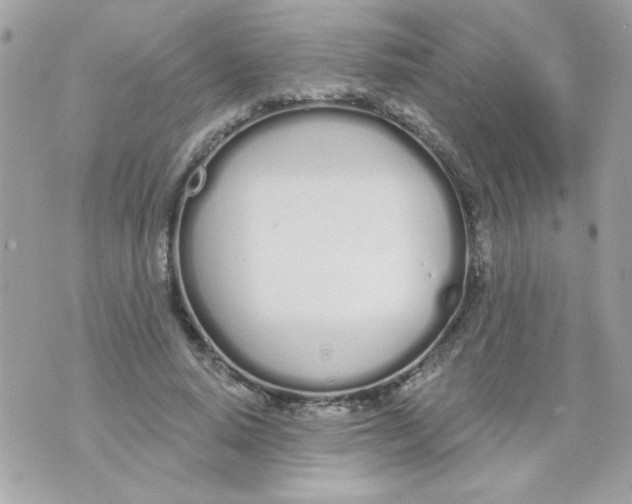 X0000070880640200607071949