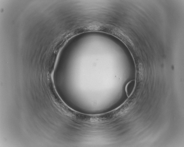 X0000070880641200607071949