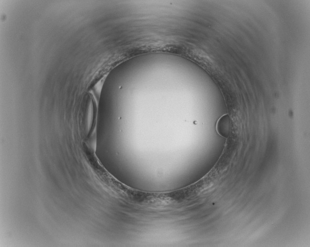 X0000070880642200607071949