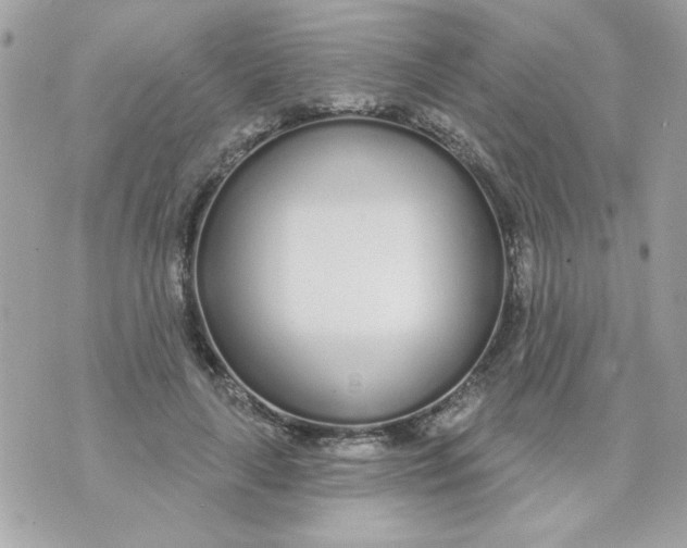 X0000070880643200607071949