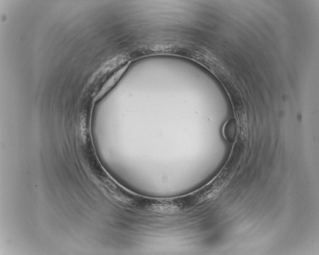 X0000070880644200607071949