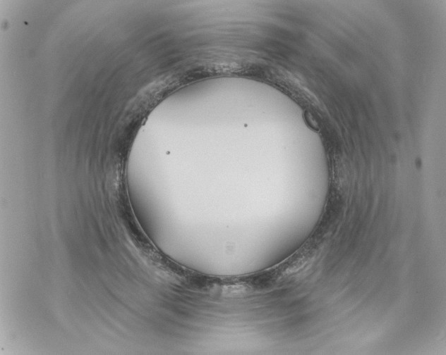 X0000070880645200607071949