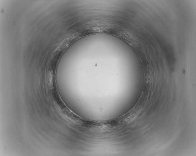 X0000070880646200607071949