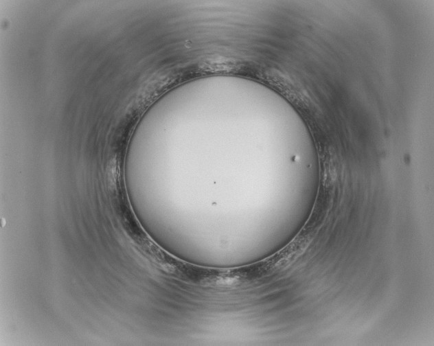 X0000070880647200607071949