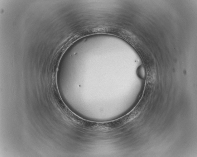 X0000070880648200607071949