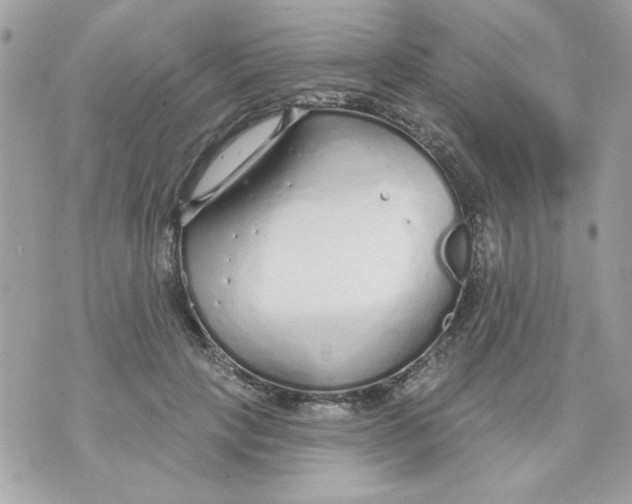 X0000070880649200607071949