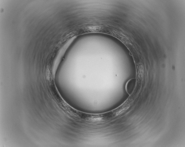 X0000070880651200607071949