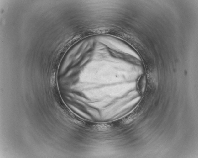 X0000070880652200607071949