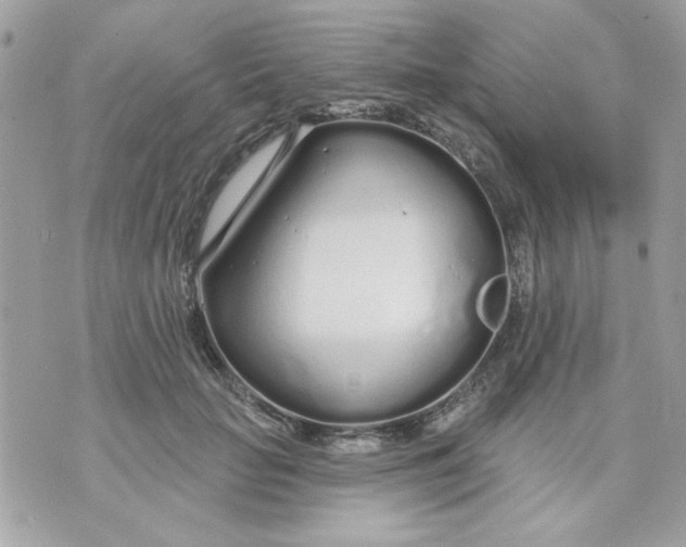 X0000070880653200607071949