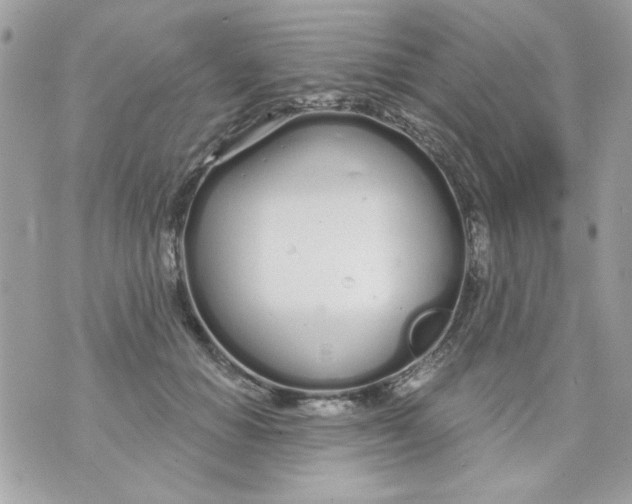 X0000070880654200607071949