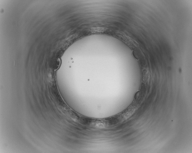 X0000070880655200607071949