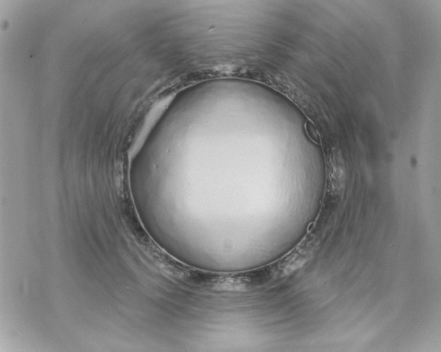 X0000070880656200607071949