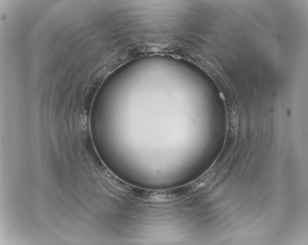 X0000070880657200607071949