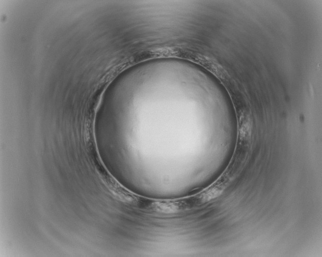 X0000070880658200607071949