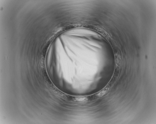 X0000070880659200607071949