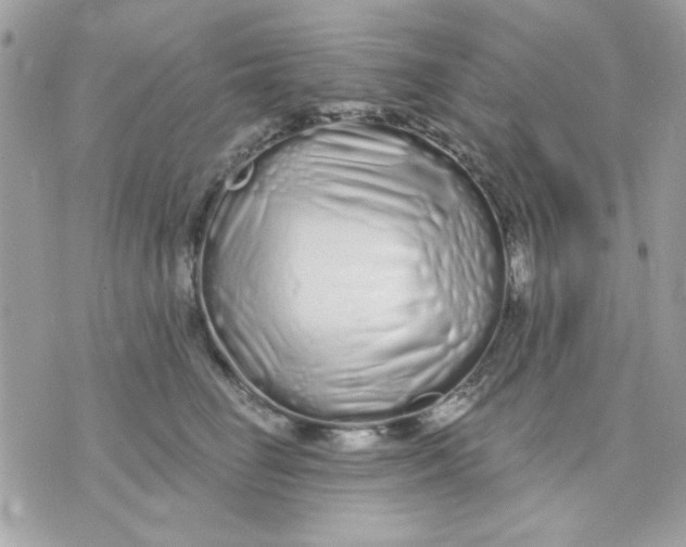 X0000070880662200607071949