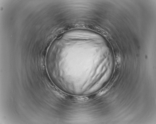 X0000070880663200607071949