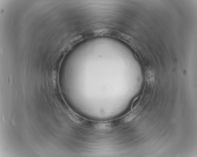 X0000070880664200607071949