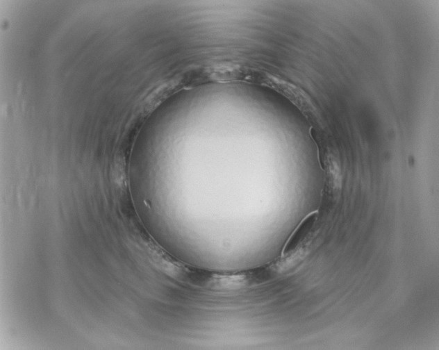 X0000070880665200607071949