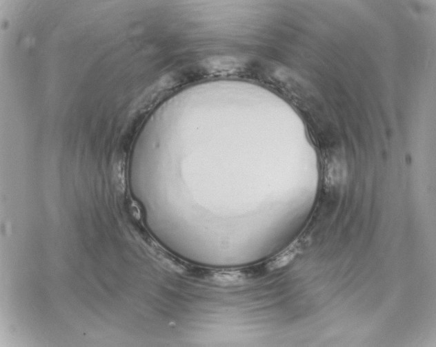 X0000070880666200607071949